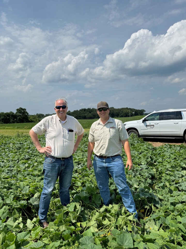 Hartung Bros.‘ Hartung’s Dan Hartung, CEO, and Nathan Hughes, field representative, in a field of pickling cucumbers in Sturgis, Michigan.