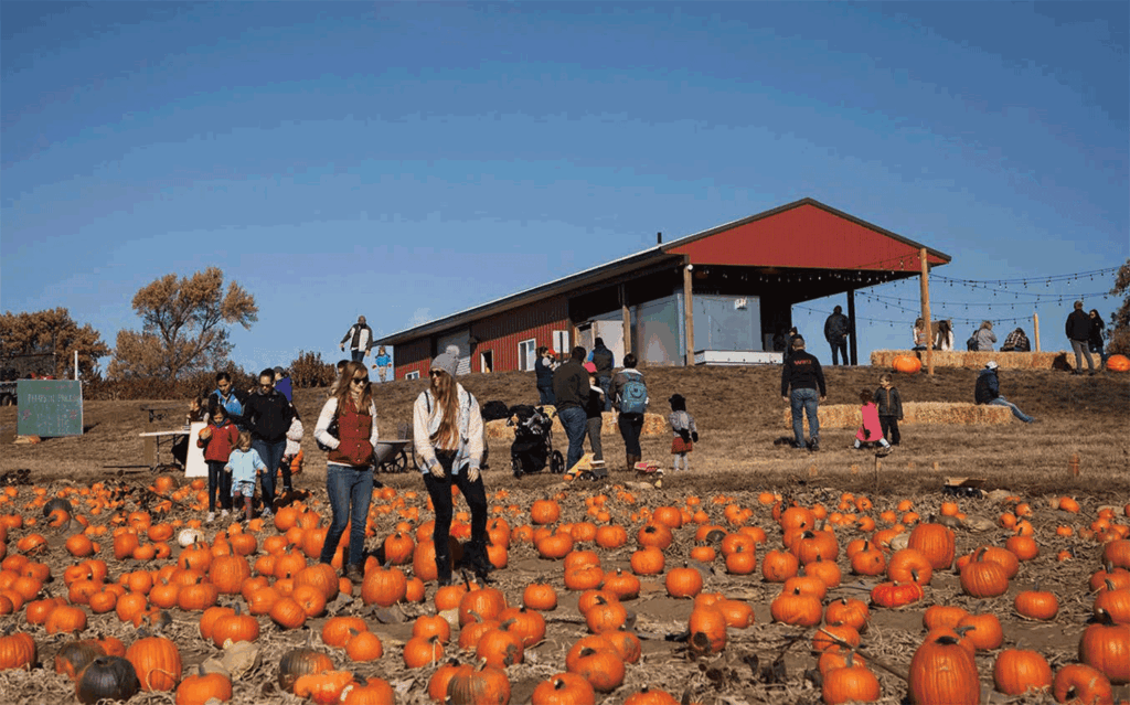 The Annual Fall Harvest Festival features U-pick pumpkins and farm games.
