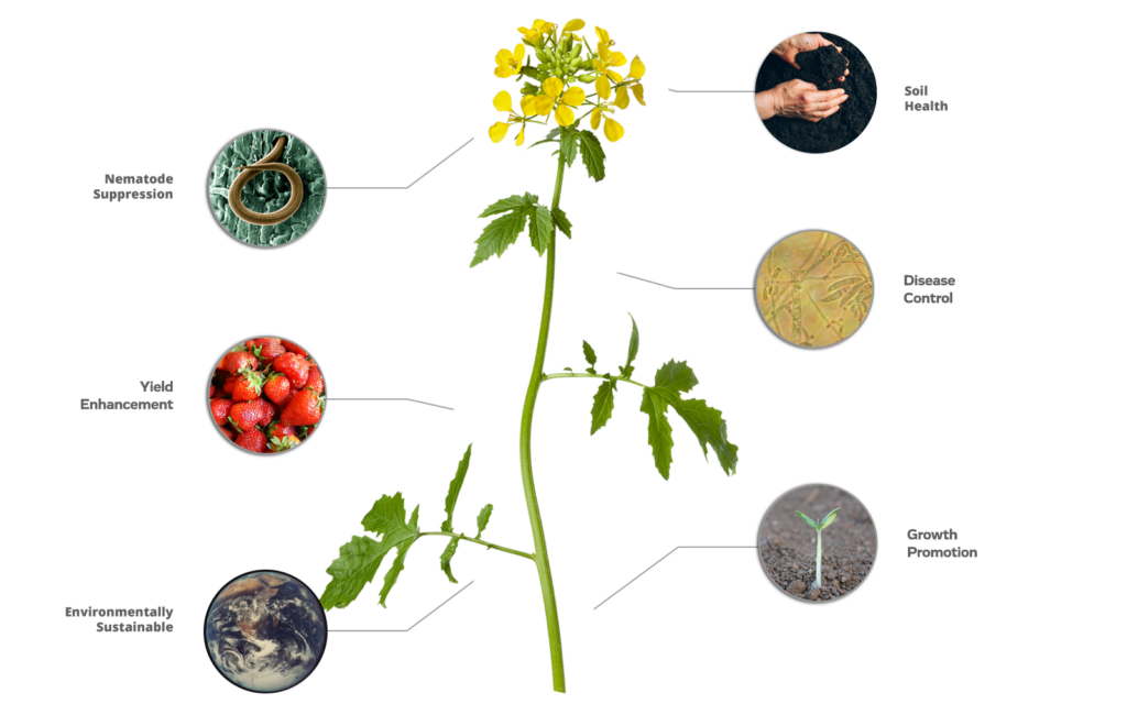 crop-protection-Must-Grow