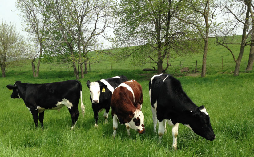livestock organic