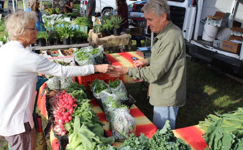 Photo of Black River Organic Farm