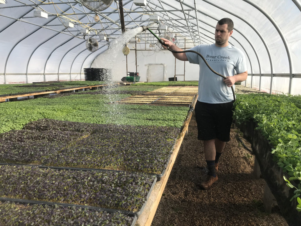 Michigan startup farm’s success driven by conviction, community ...