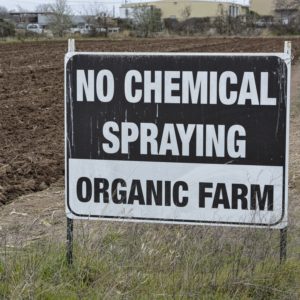Organic-Farm-Site-Uvalde-300x300-1