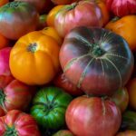 organic tomatoes for sale