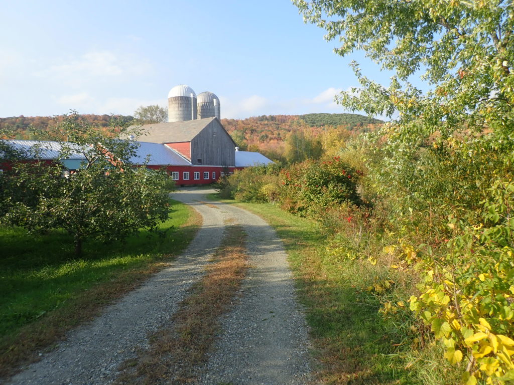 farm photo