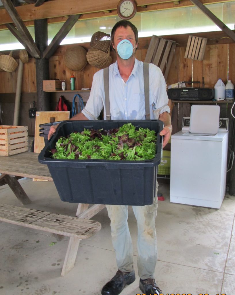 Pennsylvania’s Plowshare Produce practices intensive organic production