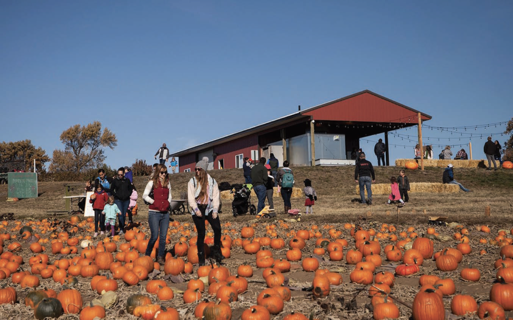 The Annual Fall Harvest Festival features U-pick pumpkins and farm games.