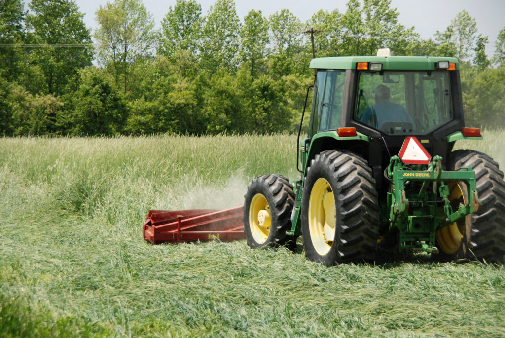 A front-mounted roller-crimper rolling over a cover crop. Photo: USDA/ARS Steven Mirsky
