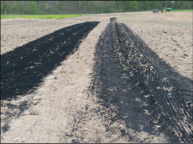 For these experiments, biochar (the dark material) was spread on the surface of the soil and then tilled in. Researchers at Michigan State University are studying the effects of biochar on soil fungi and evergreen trees. Photo: Daniel Warnock