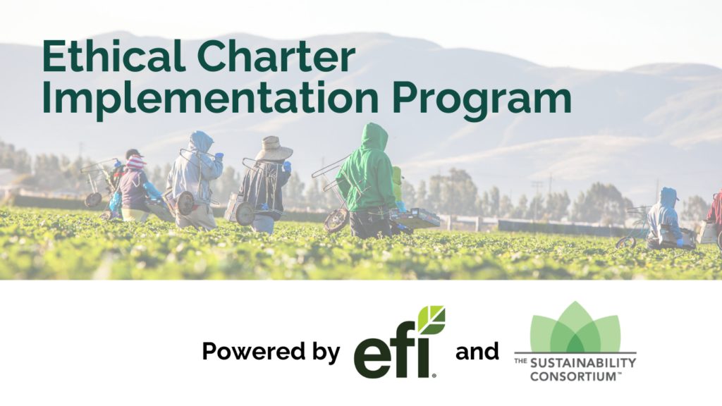 Ethical Charter Implementation Program EFI