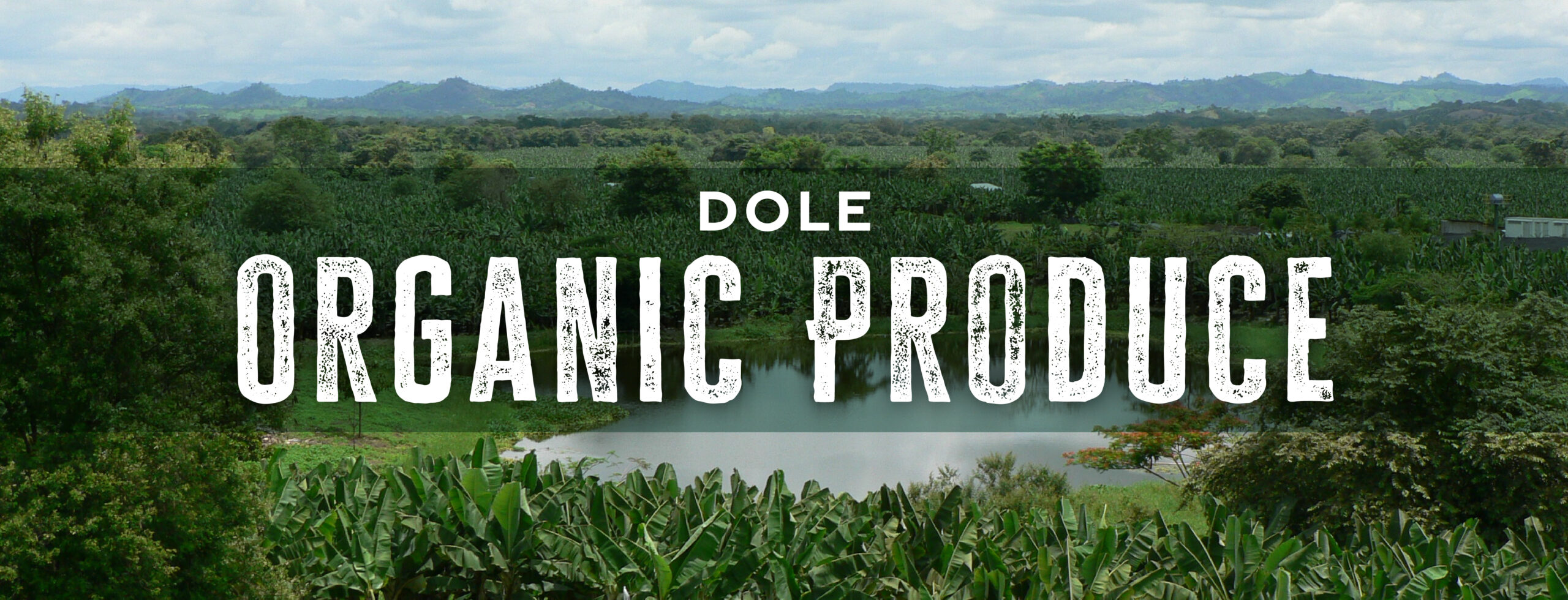 Dole Organic Produce