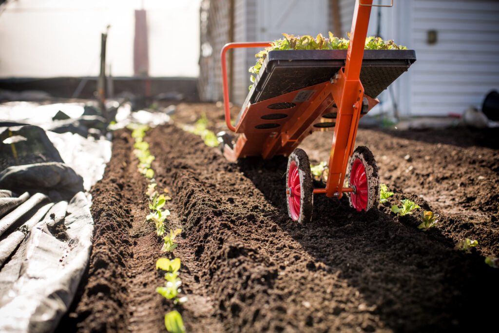Paper pot transplanters in organic production