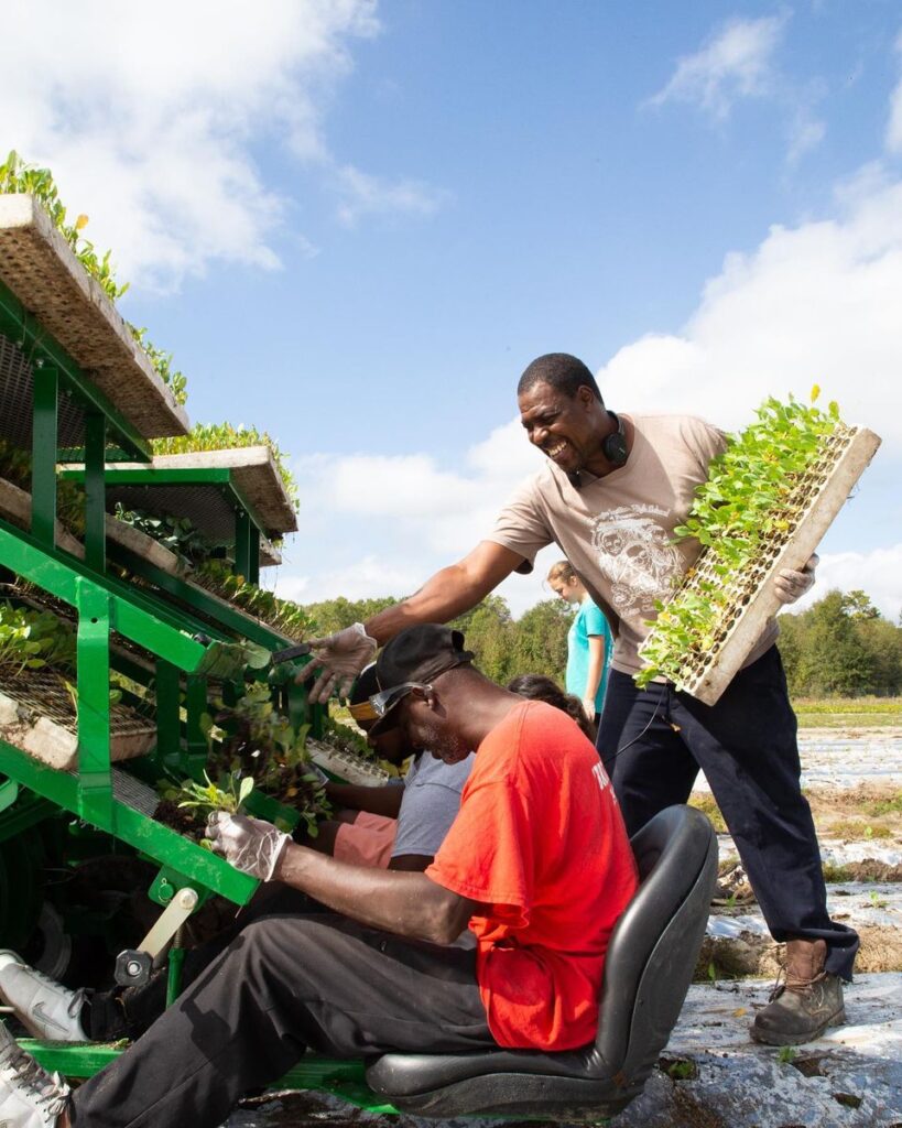 At upper right, farmhands James and Carl plant vegetables. Photos: LifeTime Natural Organic Farm