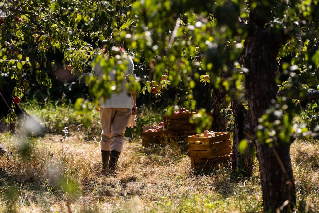 Farm groups applaud USDA decision to end farm labor survey