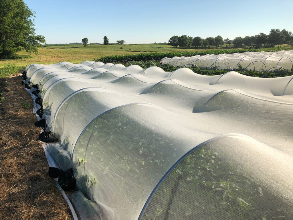 Organic ag strategies for combating pests, disease