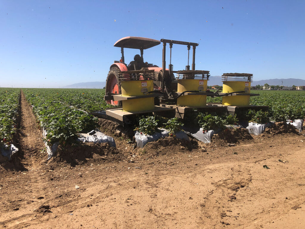 A 30-inch fan covers the whole bed on this single barrel bug vacuum. Photos: California Strawberry Commission