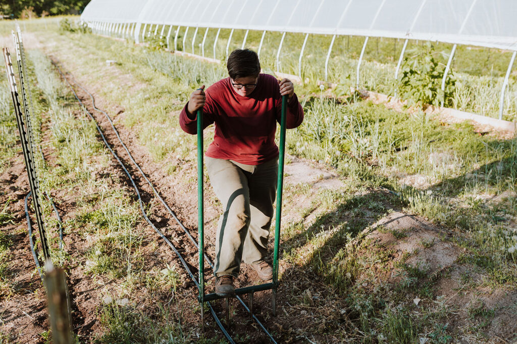 Casey Holland organic farming