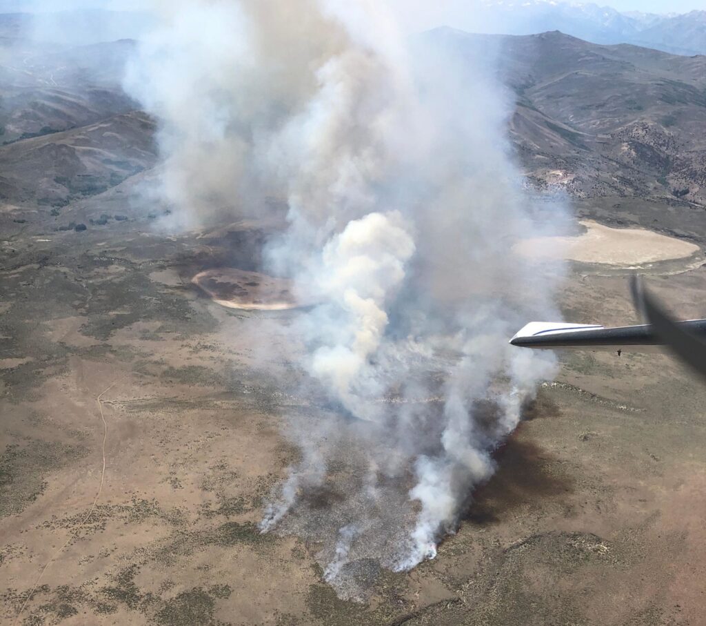 Organic farms hurt by wildfire qualify for  California Certified Organic Farmers’ financial help