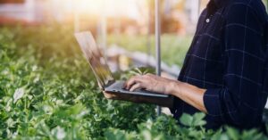 MSU to host regenerative agriculture webinar series for growers