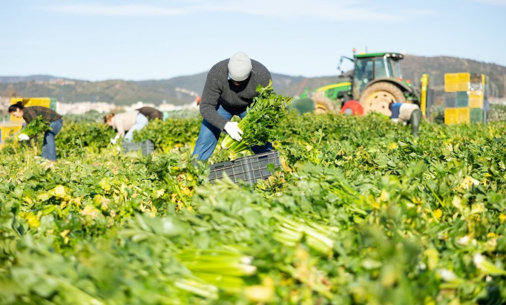 Legislation would provide path to legal status for certain immigrants