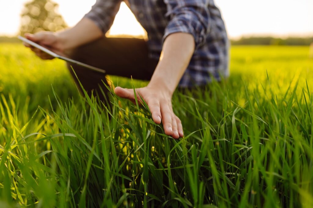 Oregon State University launches organic agriculture Extension team
