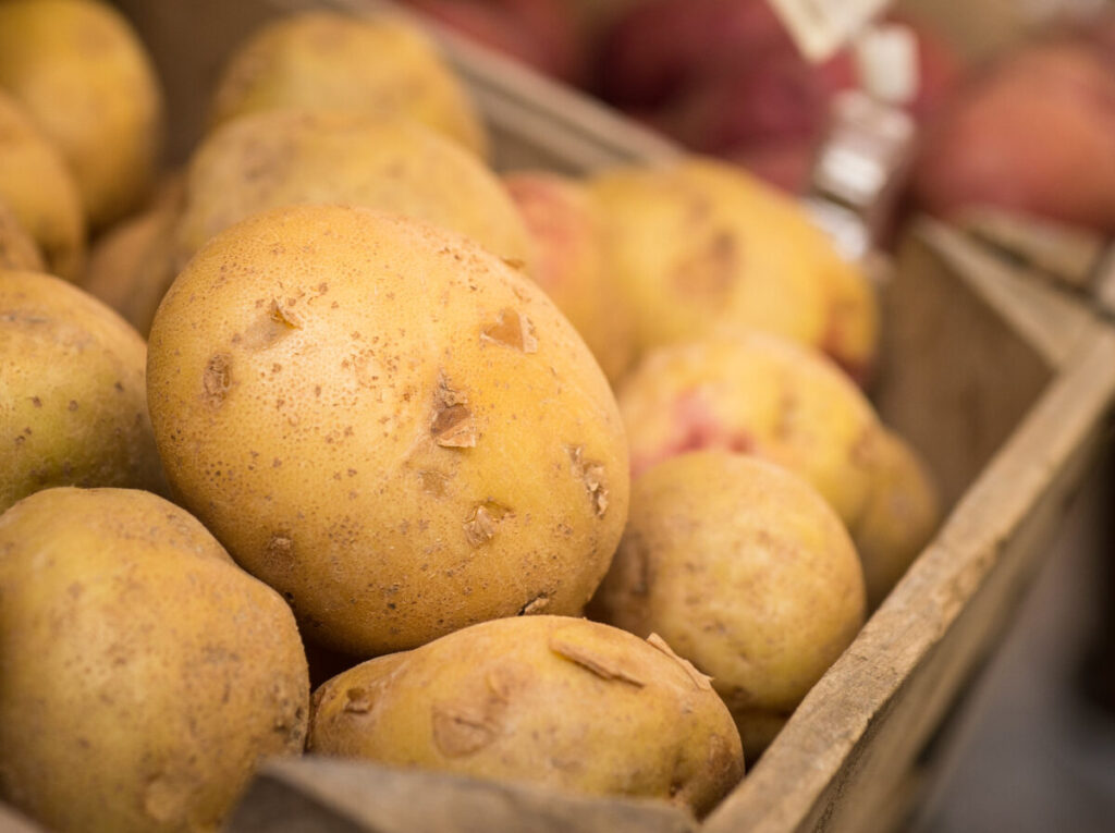 Researcher studies enhanced nutrition of organic potatoes while building healthy soils