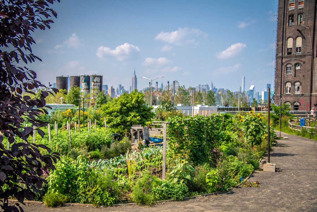 Organic fertilizer sales growth expected in lawn and garden markets