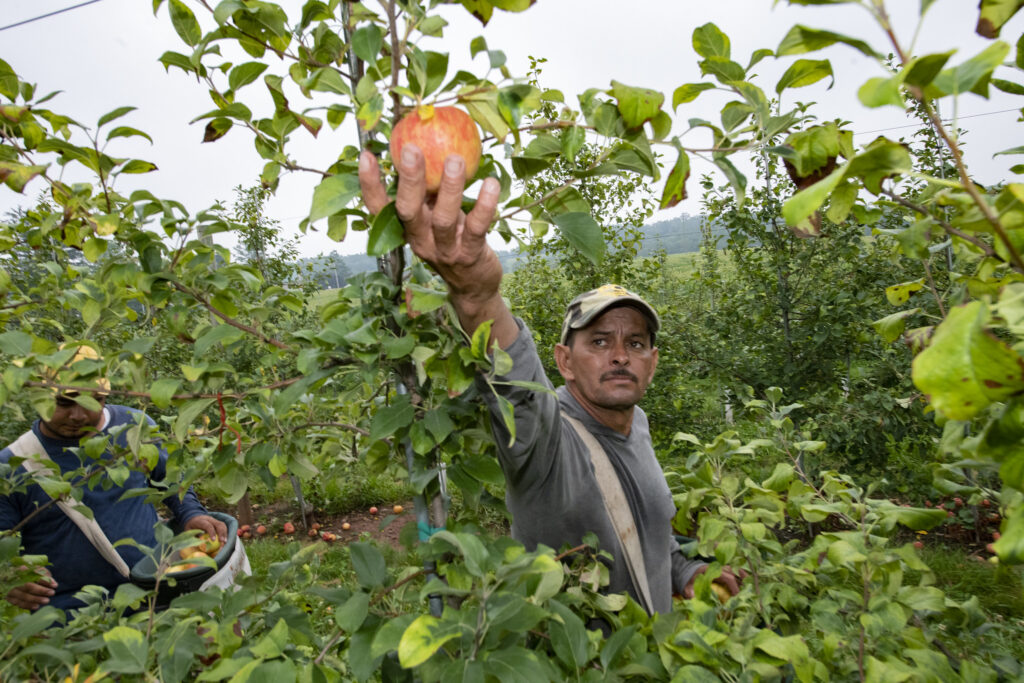 Organic Trade Association leaders back farm labor reform