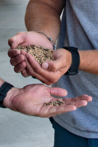 seed generic