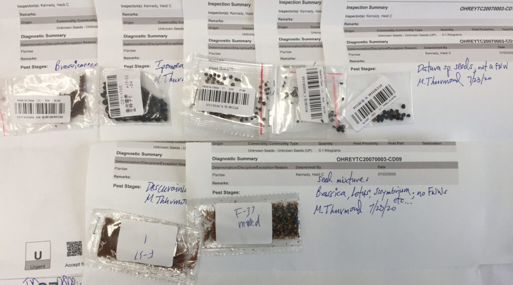 USDA describes species of unsolicited seeds mailed to consumers