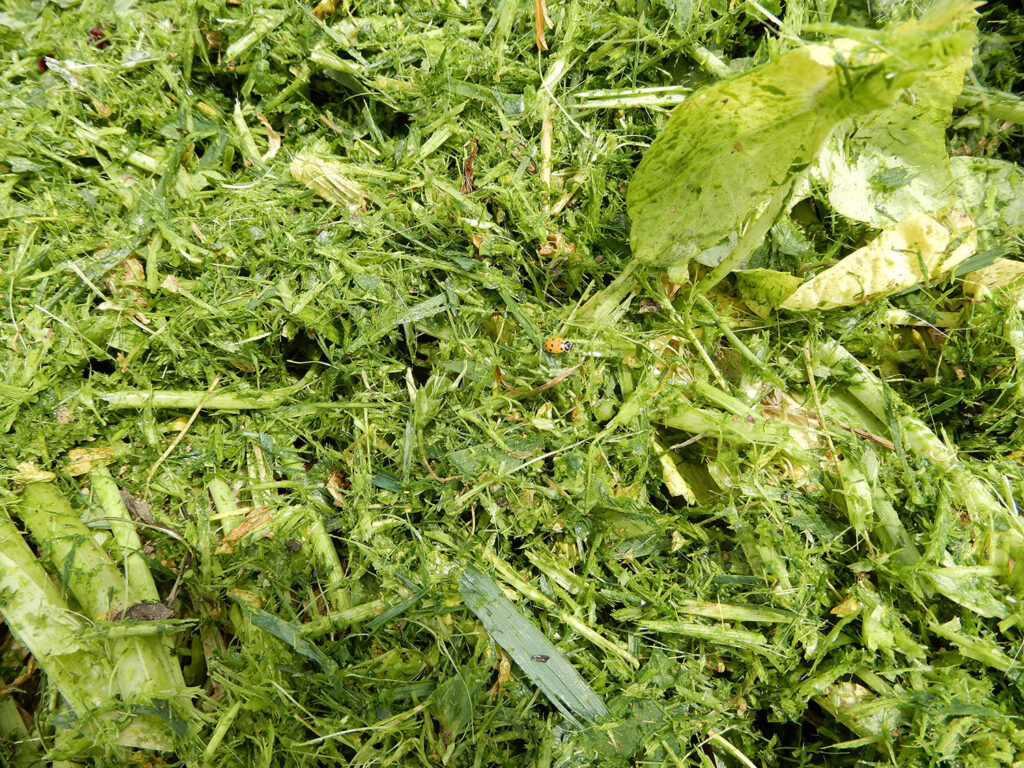 cover crop shredding