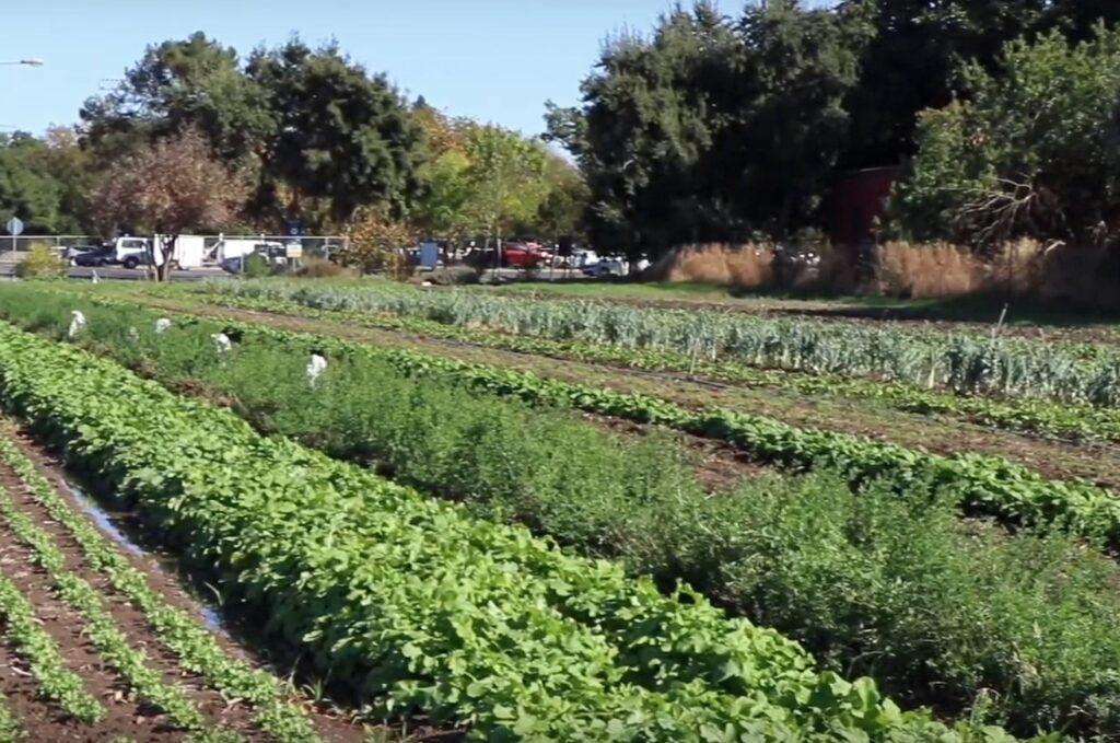 Free organic farmer courses offered by Cal Poly, OFRF