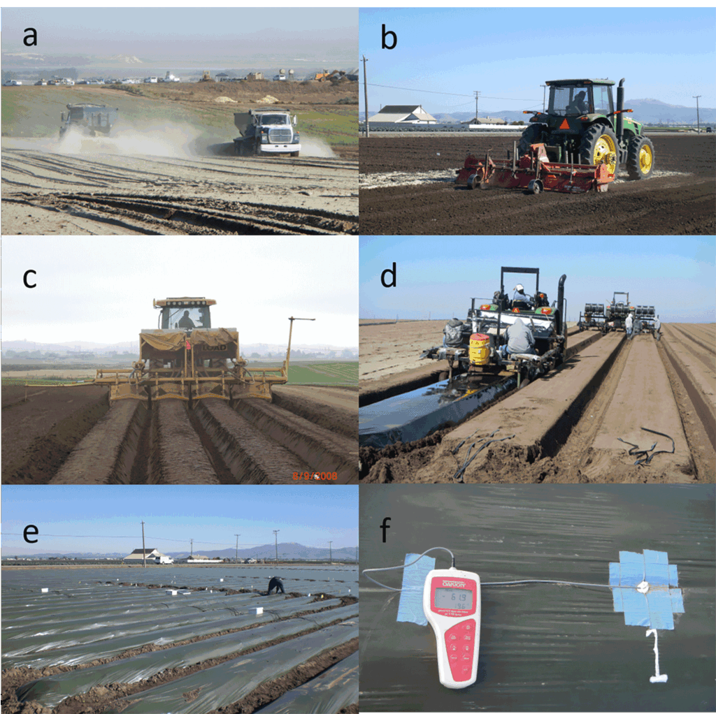 creating strawberry beds