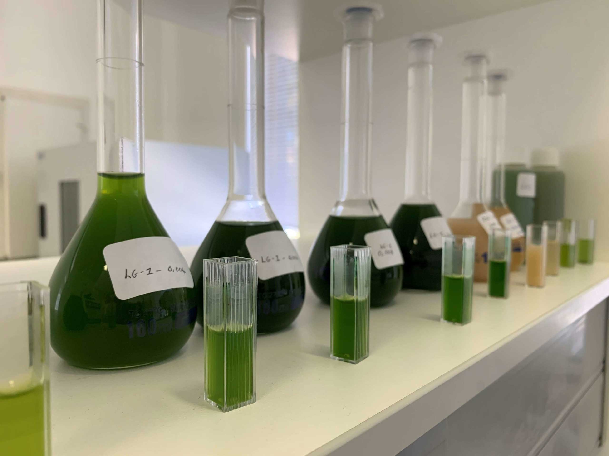 Afrikelp-lab