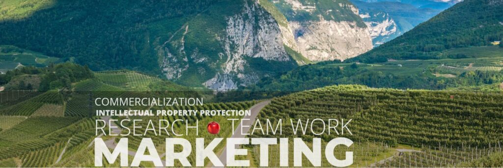 Associated International Group of Nurseries AIGN 