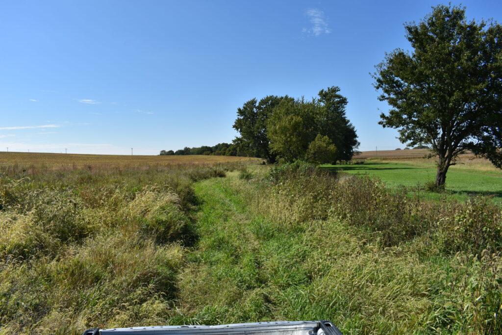 Saturated riparian buffer strips stop farm runoff of most nitrate, study says