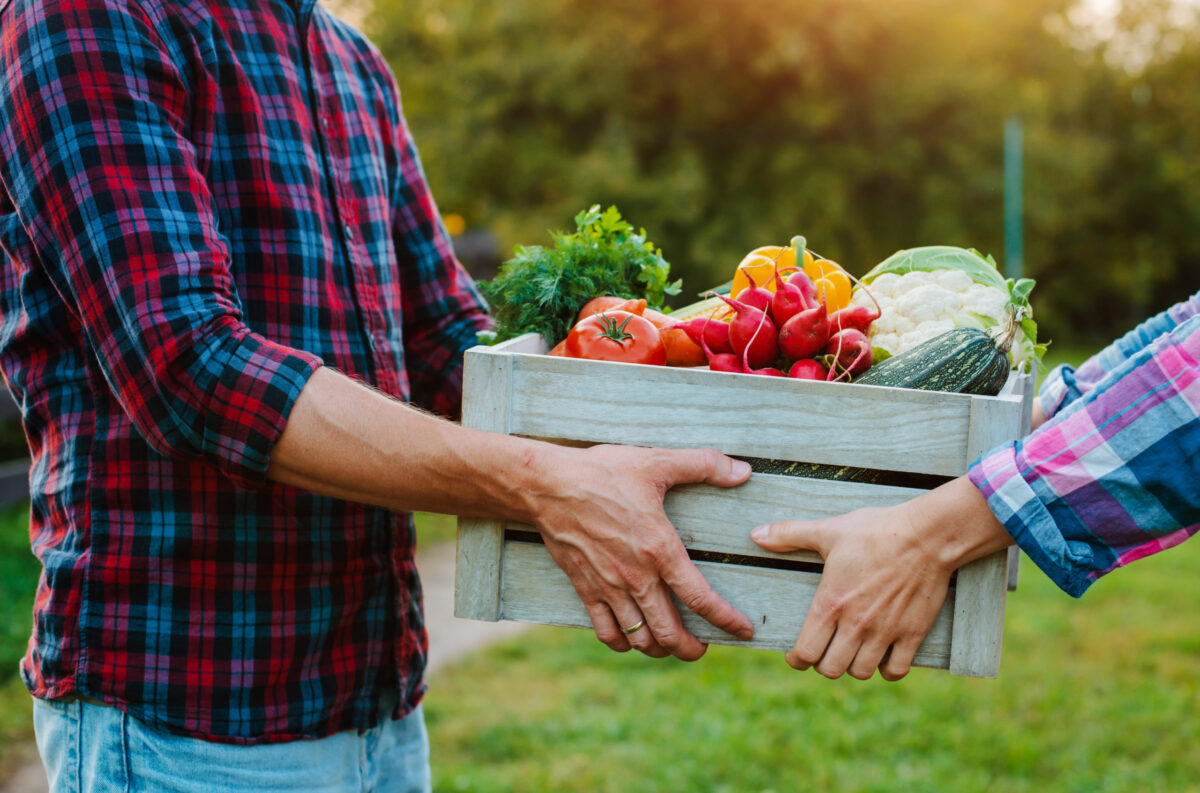 Two people holding crate full of fresh vegetables.