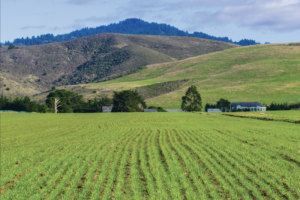 New hire: Sym-Agro taps Adam Cholakian to lead Southern California sales