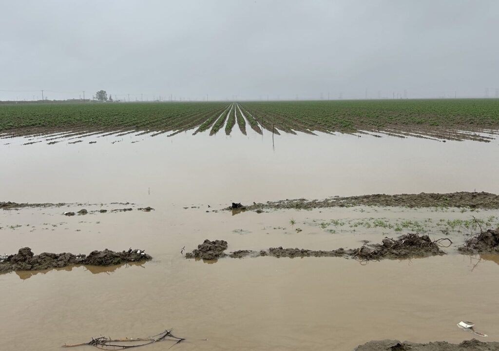 USDA delivers second stage of crop disaster assistance