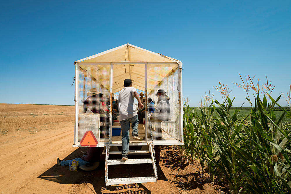 California heat farmworker