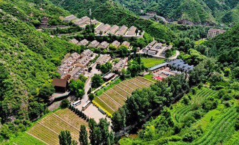 North China’s Lingqiu County uses organic agriculture to promote rural development