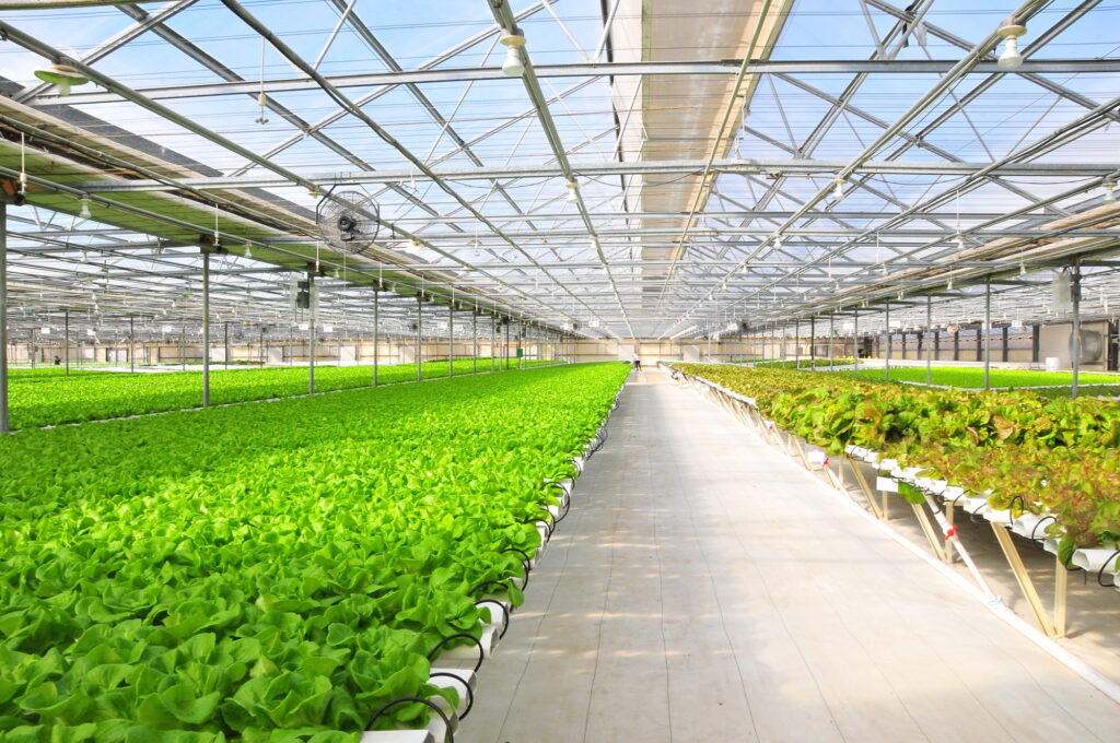 USDA clarifies organic label use for hydroponics, aquaponics, aeroponics