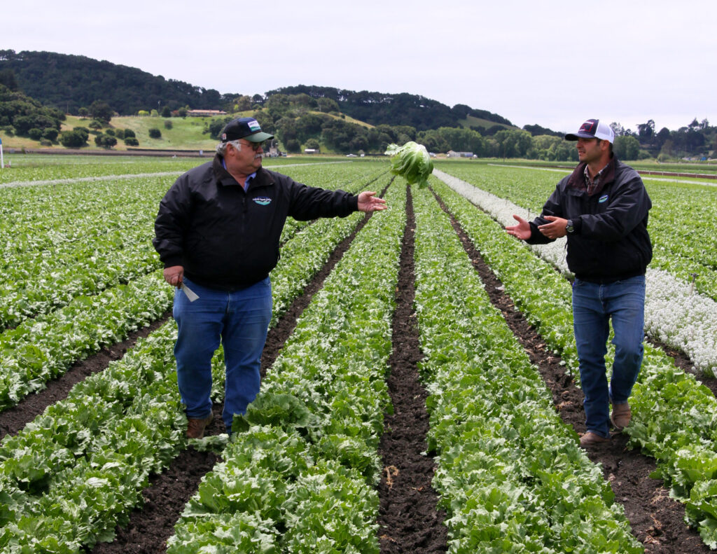 Organic grower committed to his central California coast home