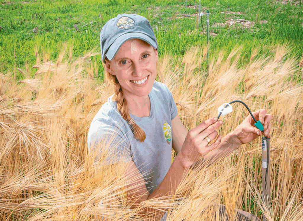 Dirt doctor Kate Tully says organic farming has a value for soil building