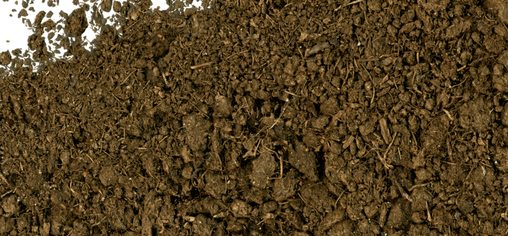 Washington State University to hold organic no-till symposium