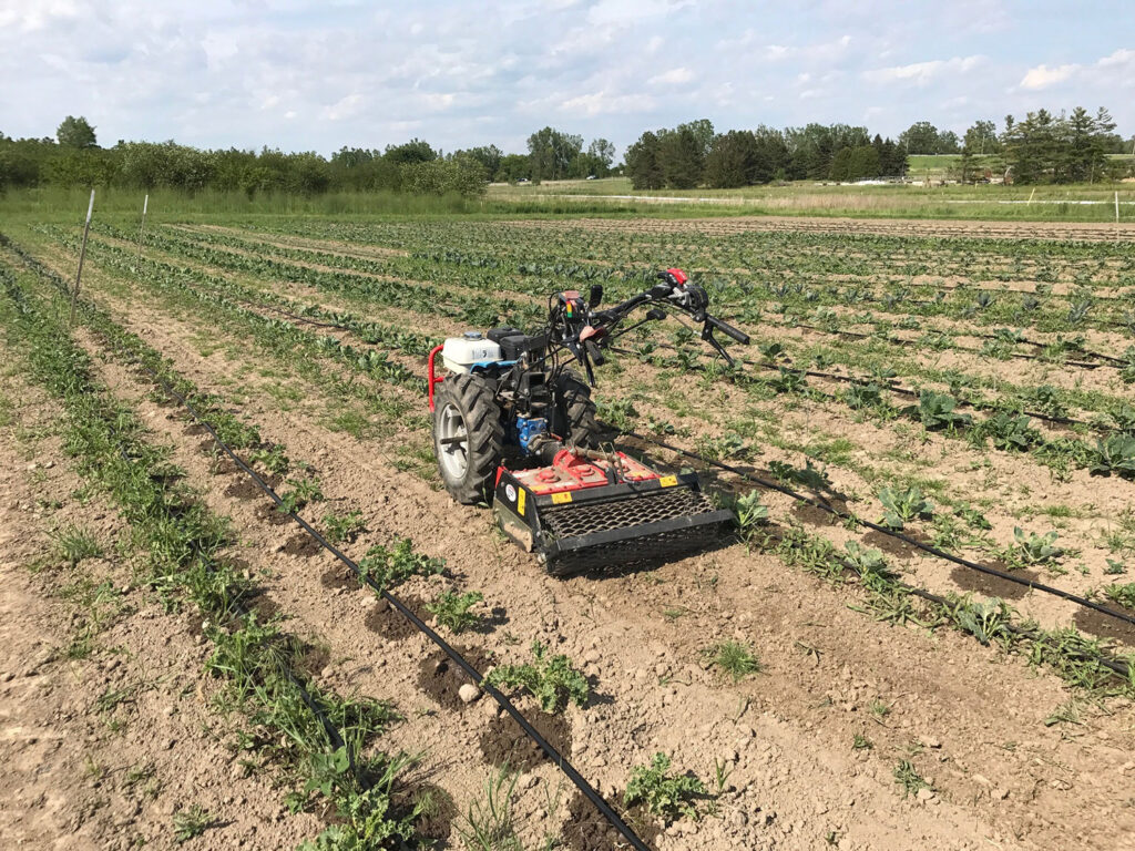 Drip irrigation