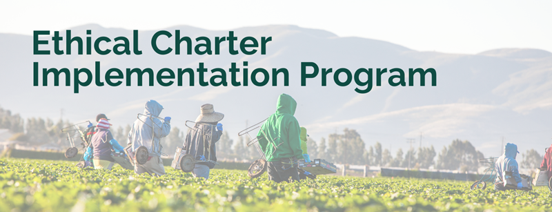 Ethical labor program introduced to fresh produce industry
