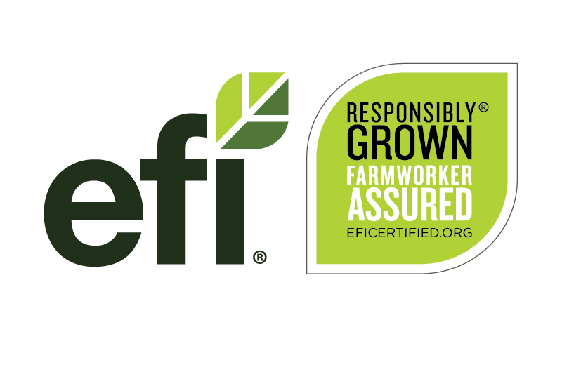 EFI fills staff positions