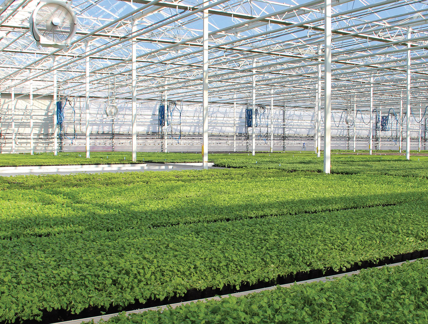 Edible Garden Ag Inc. operates state-of-the-art greenhouse and processing facilities in Belvidere, New Jersey, and in partnership with growers throughout the U.S., reducing food miles. Photos: Edible Garden