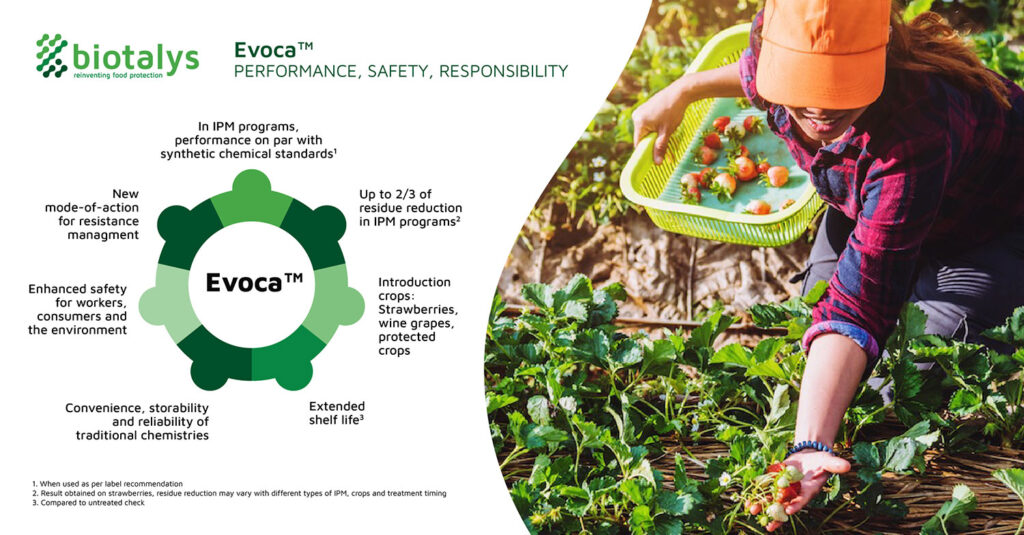 Biotalys names manufacturing partner for new biofungicide